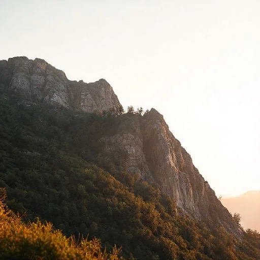 Underwater lake scene